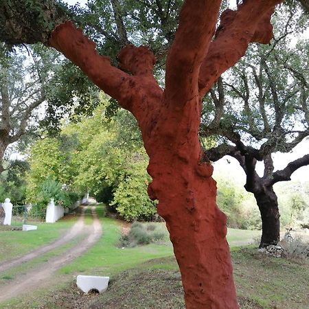 Monte Do Serrado De Baixo Évora Dış mekan fotoğraf